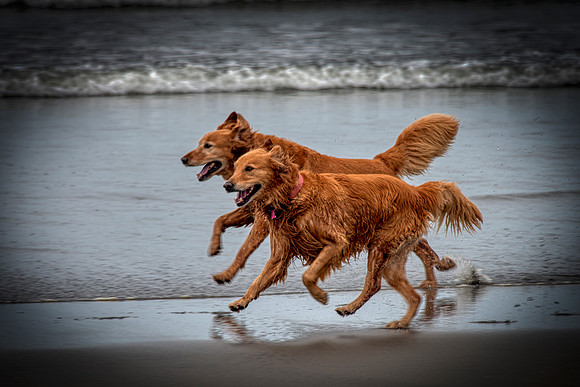 Togetherness on the beach