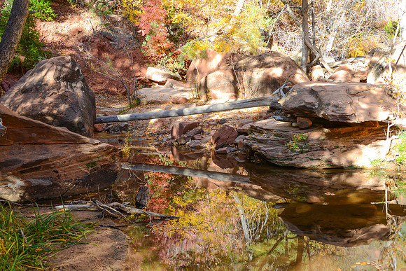 zion colors