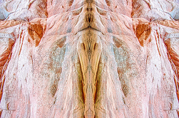 Guardian