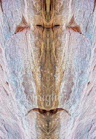 longface