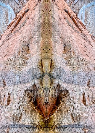 The Bishop-2
