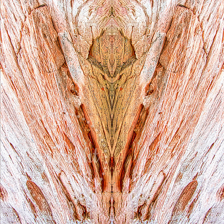 The Angel2