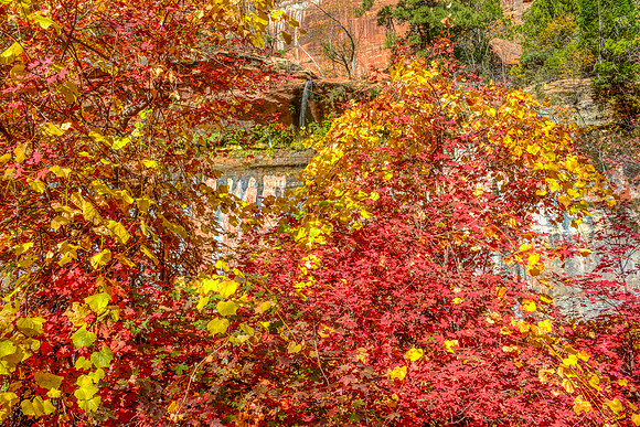 zion colors