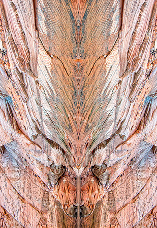 Feathered moth/Abominable